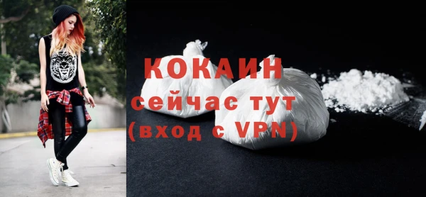 МДПВ Богородицк