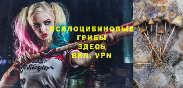 МДПВ Богородицк