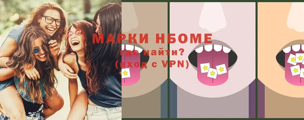 прущие грибы Богданович
