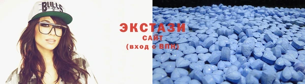 прущие грибы Богданович