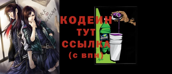 МДПВ Богородицк