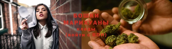 прущие грибы Богданович