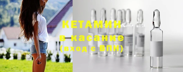 прущие грибы Богданович