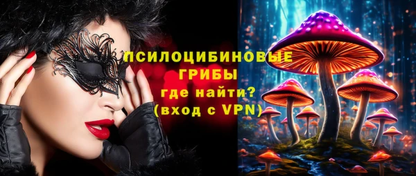 МДПВ Богородицк