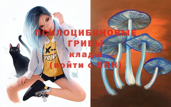 прущие грибы Богданович