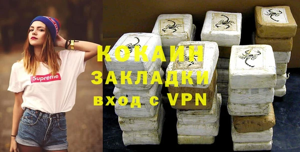 прущие грибы Богданович