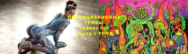 прущие грибы Богданович