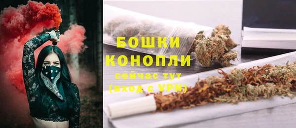 прущие грибы Богданович