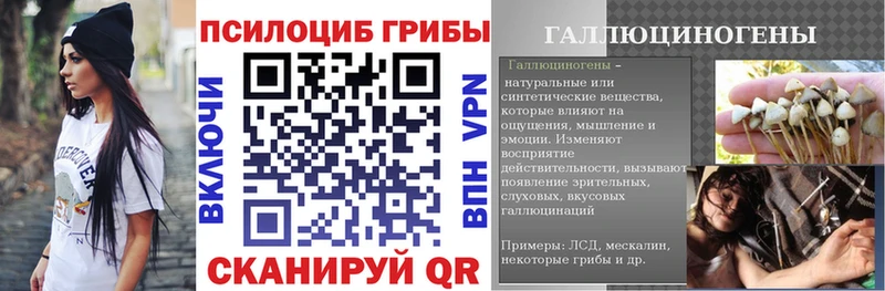 Псилоцибиновые грибы Cubensis  цены   гидра зеркало  Костерёво 